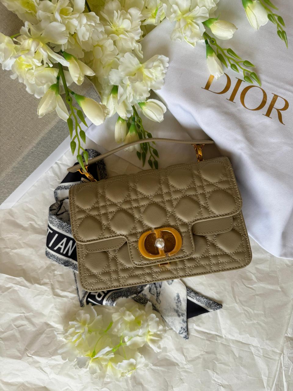 Ladies dior bags Lilly Onlines