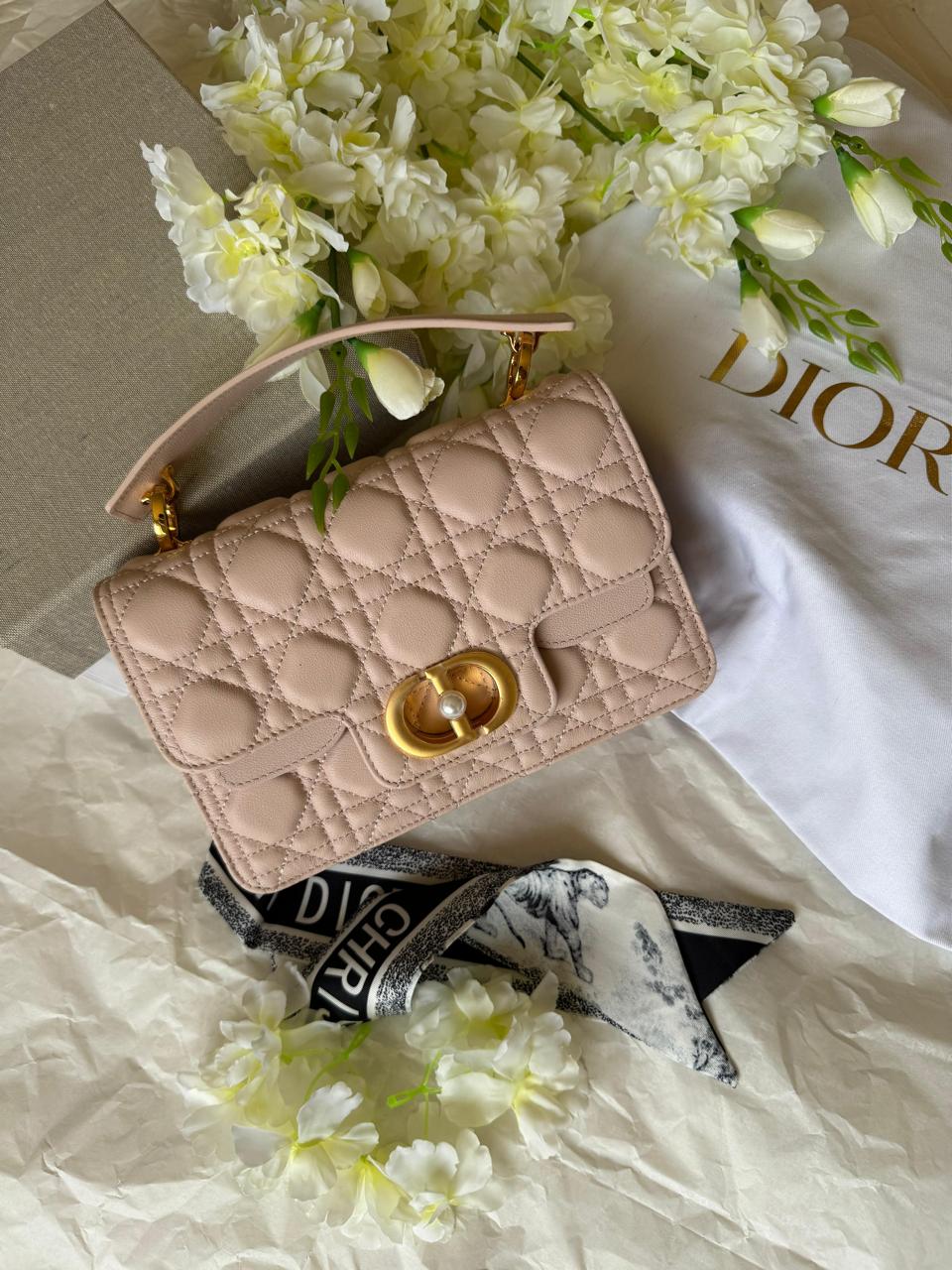 Ladies dior bags Lilly Onlines