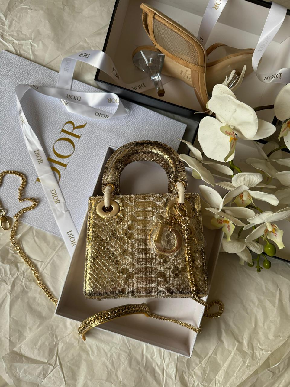 Ladies dior bags Lilly Onlines