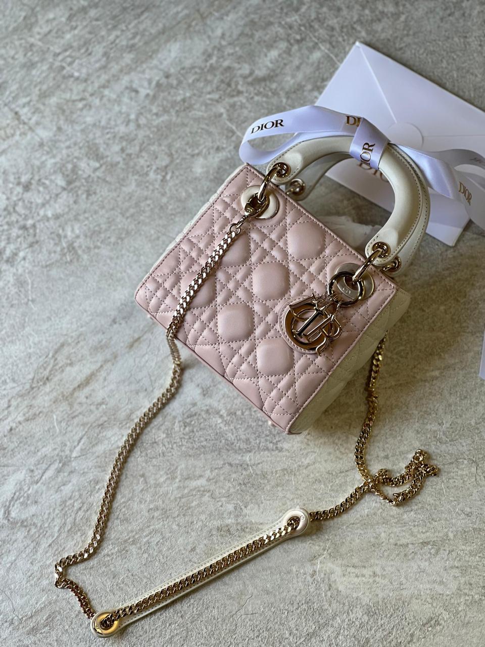 Ladies dior bags Lilly Onlines