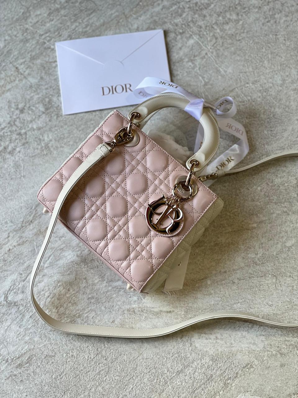 Ladies dior bags Lilly Onlines