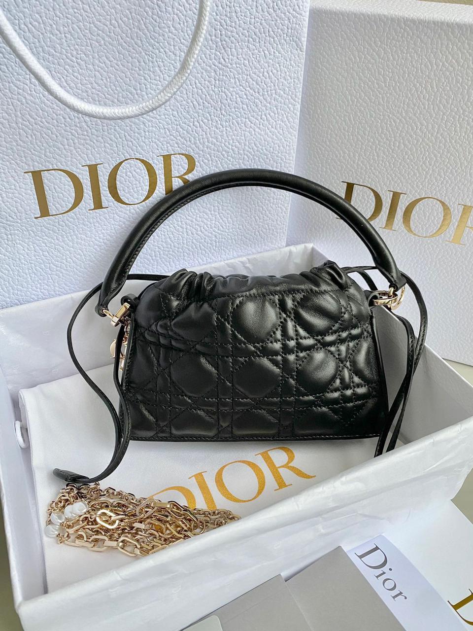Ladies dior bags Lilly Onlines