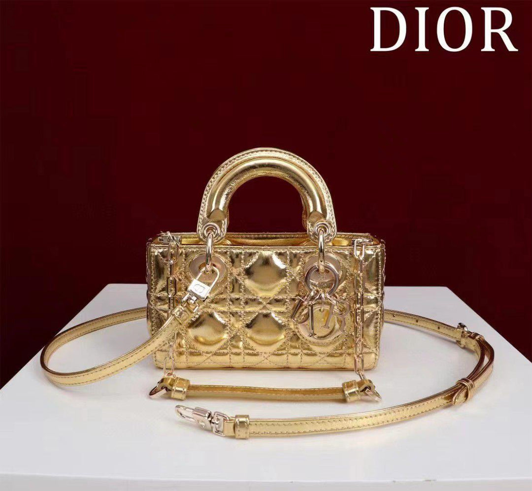 Ladies dior bags Lilly Onlines