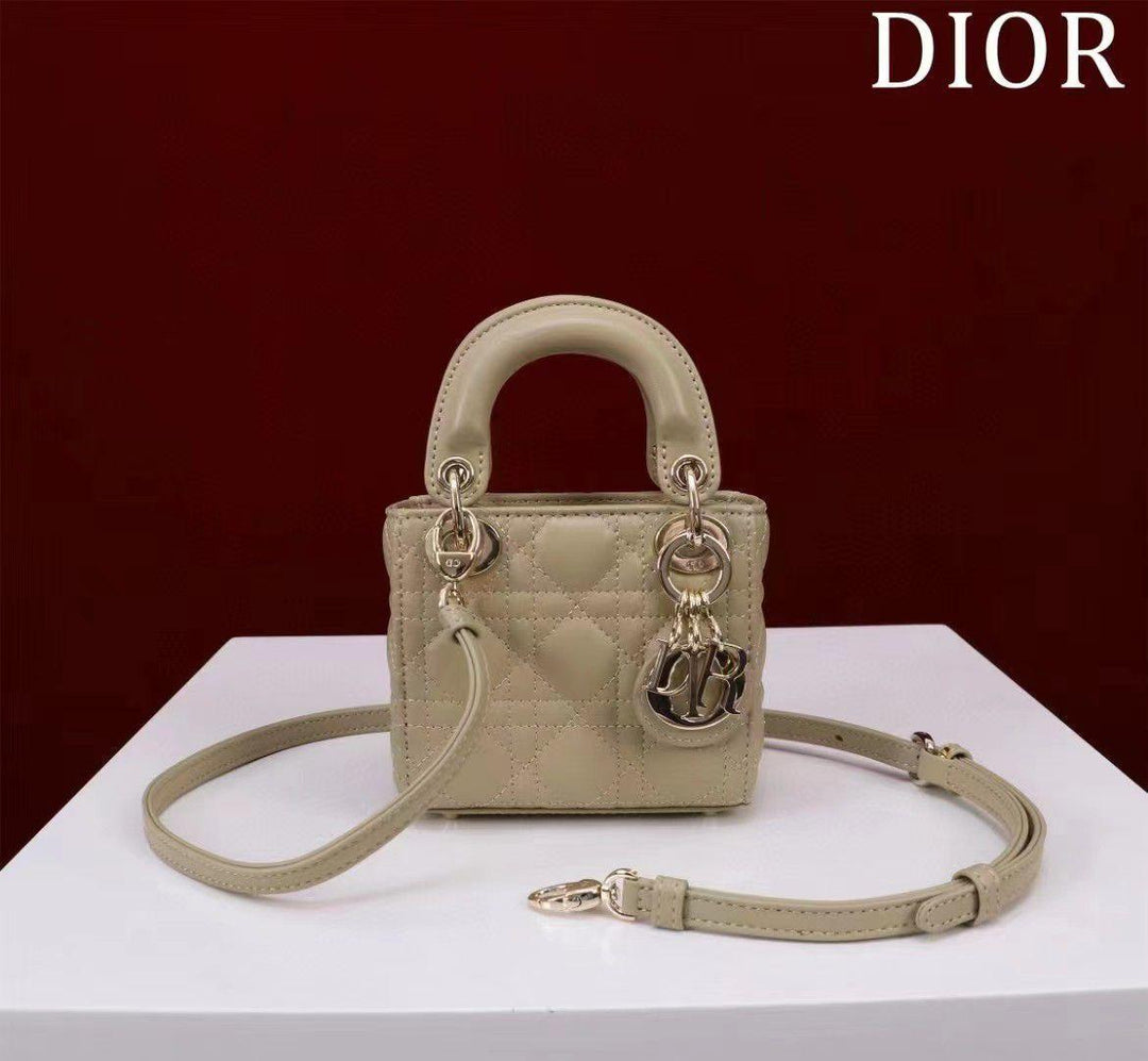 Ladies dior bags Lilly Onlines
