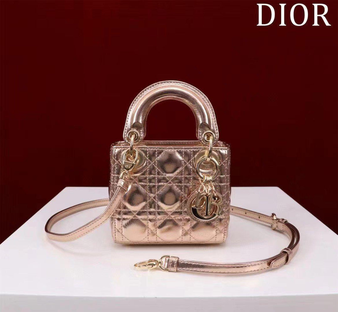 Ladies dior bags Lilly Onlines