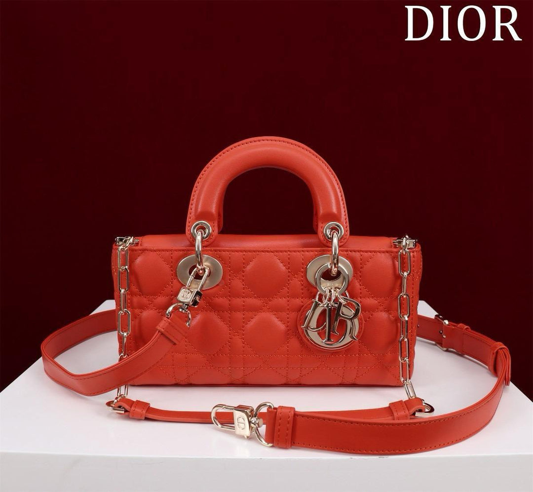 Ladies dior bags Lilly Onlines