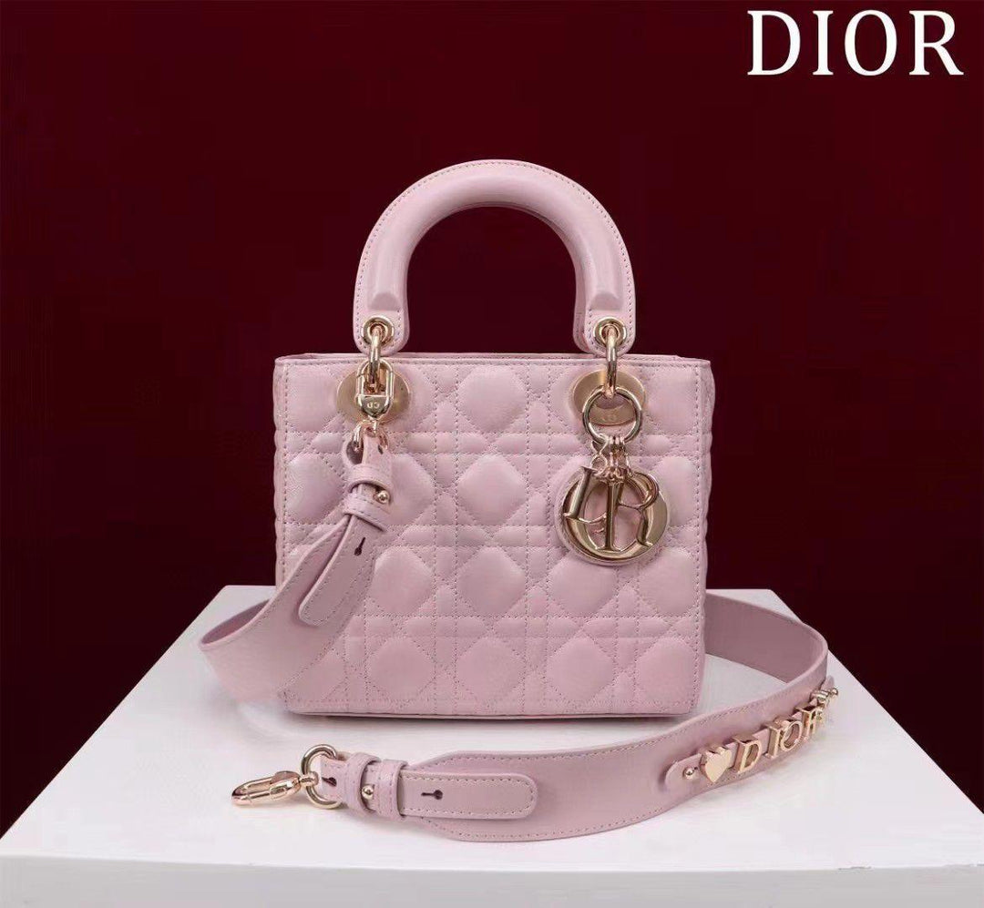 Ladies dior bags Lilly Onlines