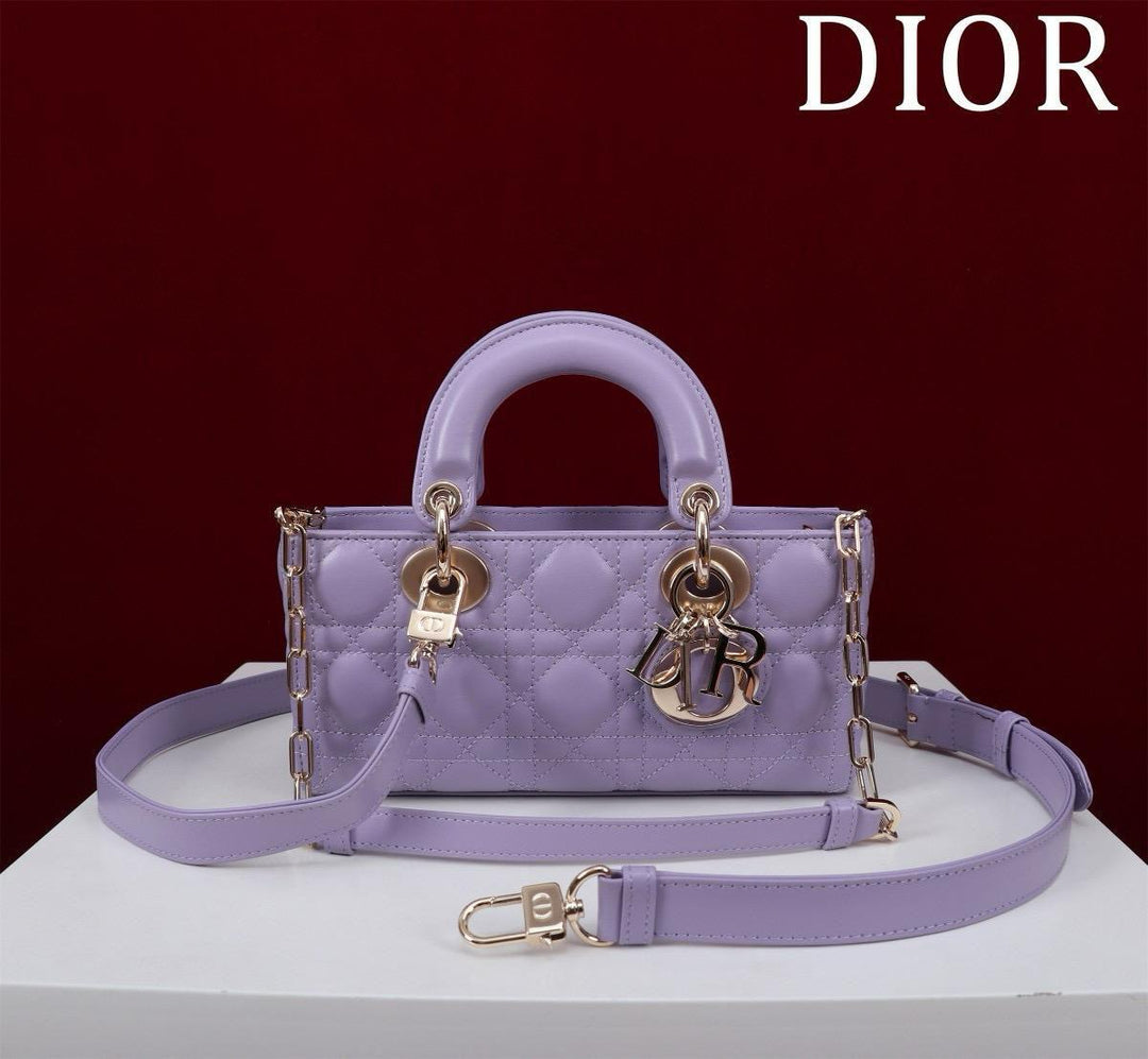 Ladies dior bags Lilly Onlines
