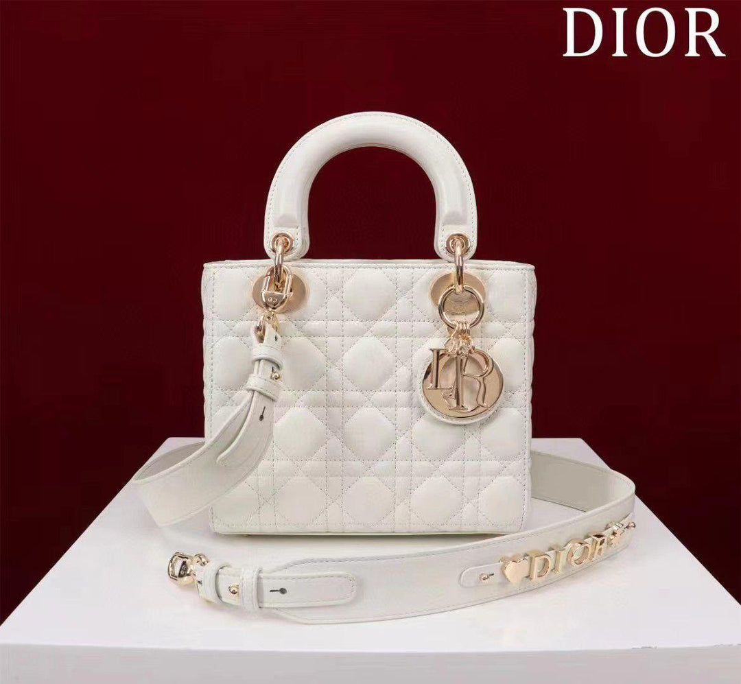 Ladies dior bags Lilly Onlines