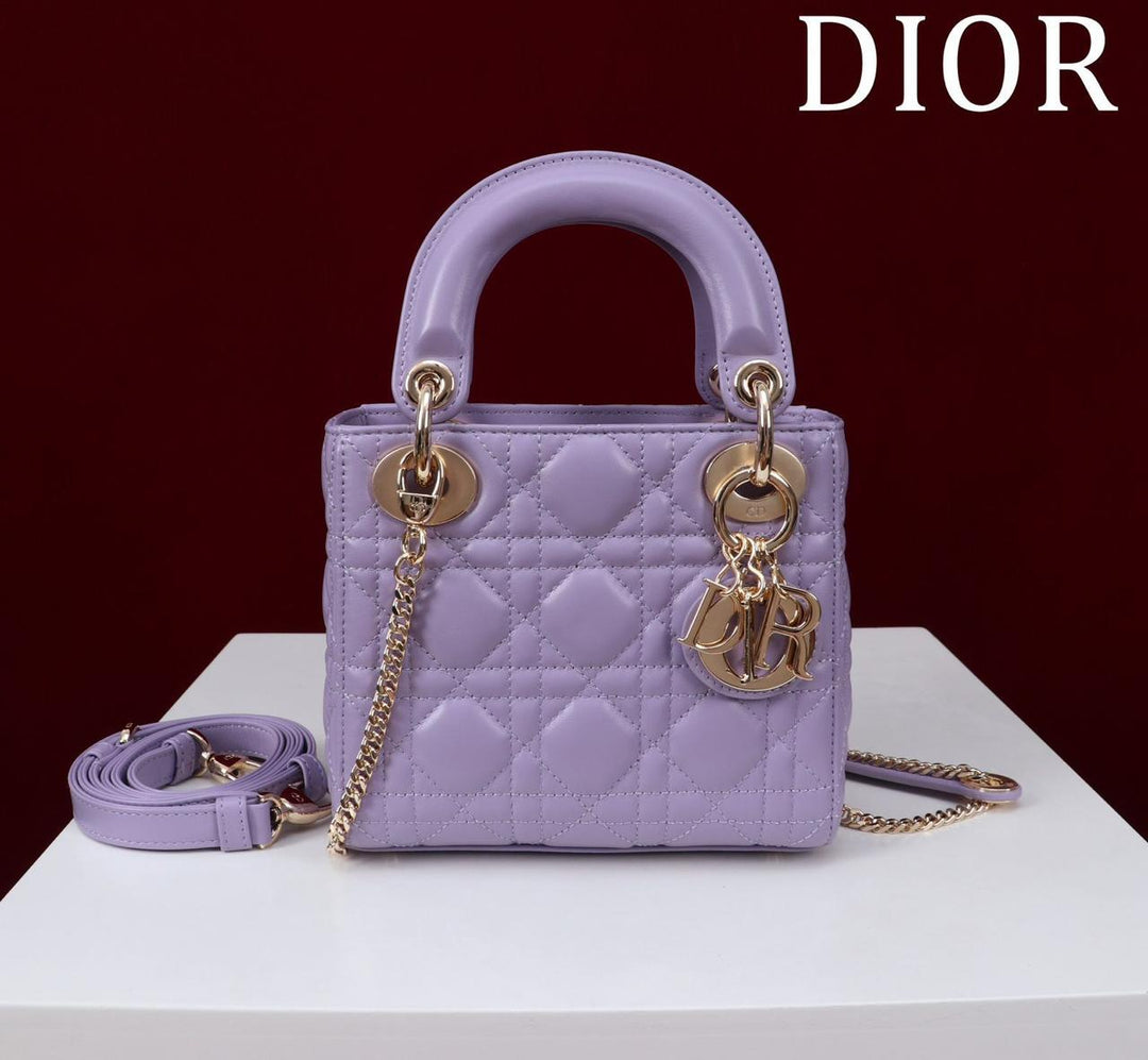 Ladies dior bags Lilly Onlines