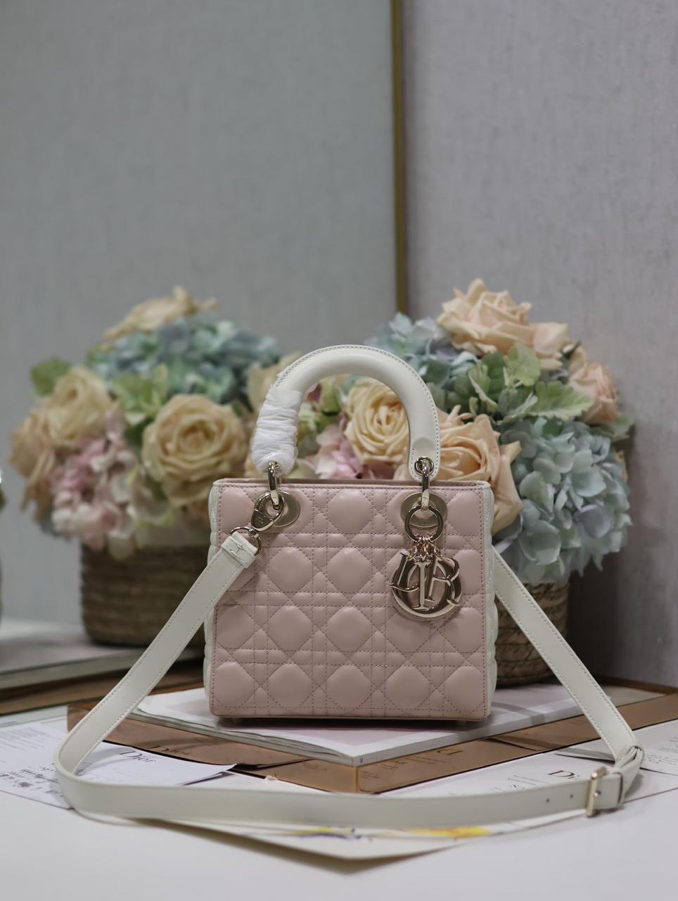 Ladies dior bags Lilly Onlines