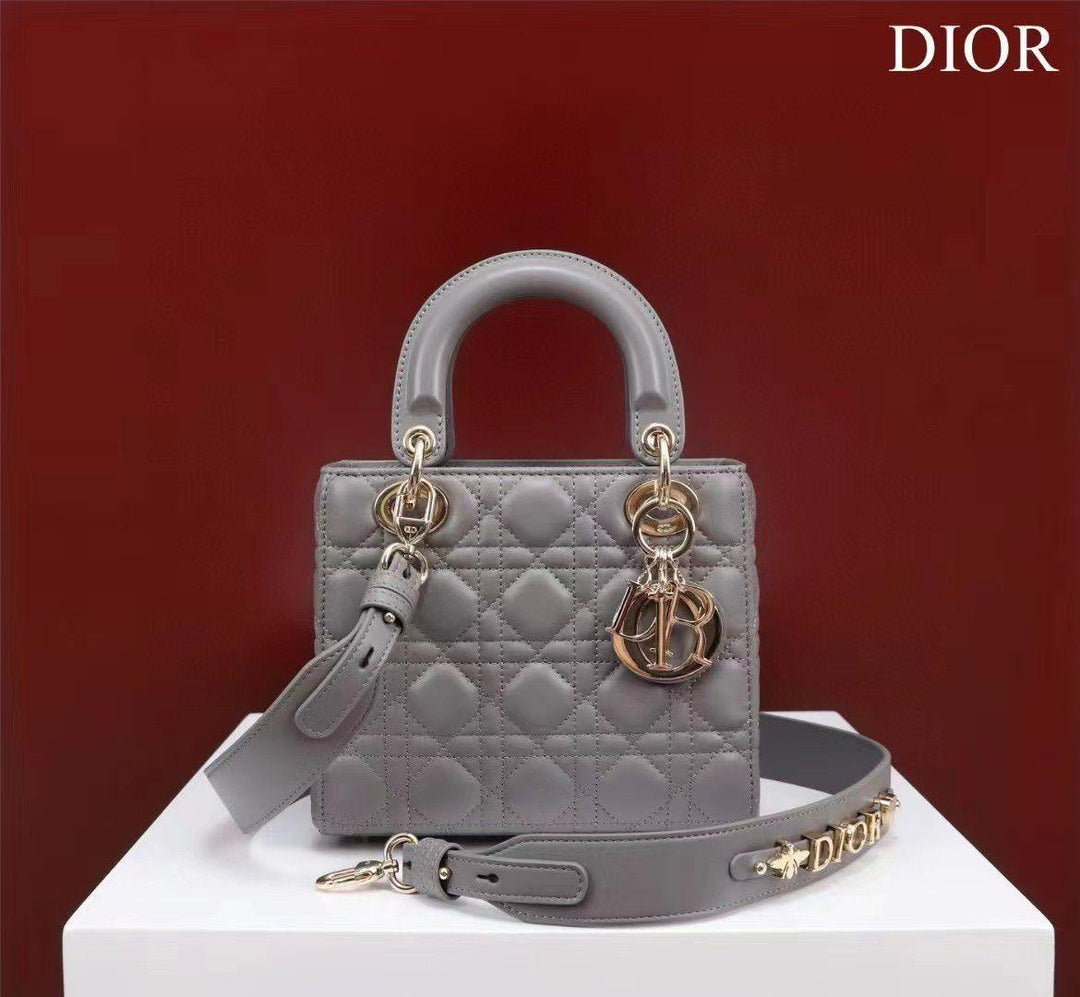 Ladies dior bags Lilly Onlines