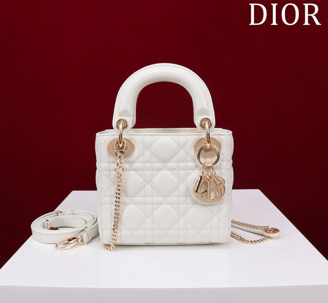 Ladies dior bags Lilly Onlines