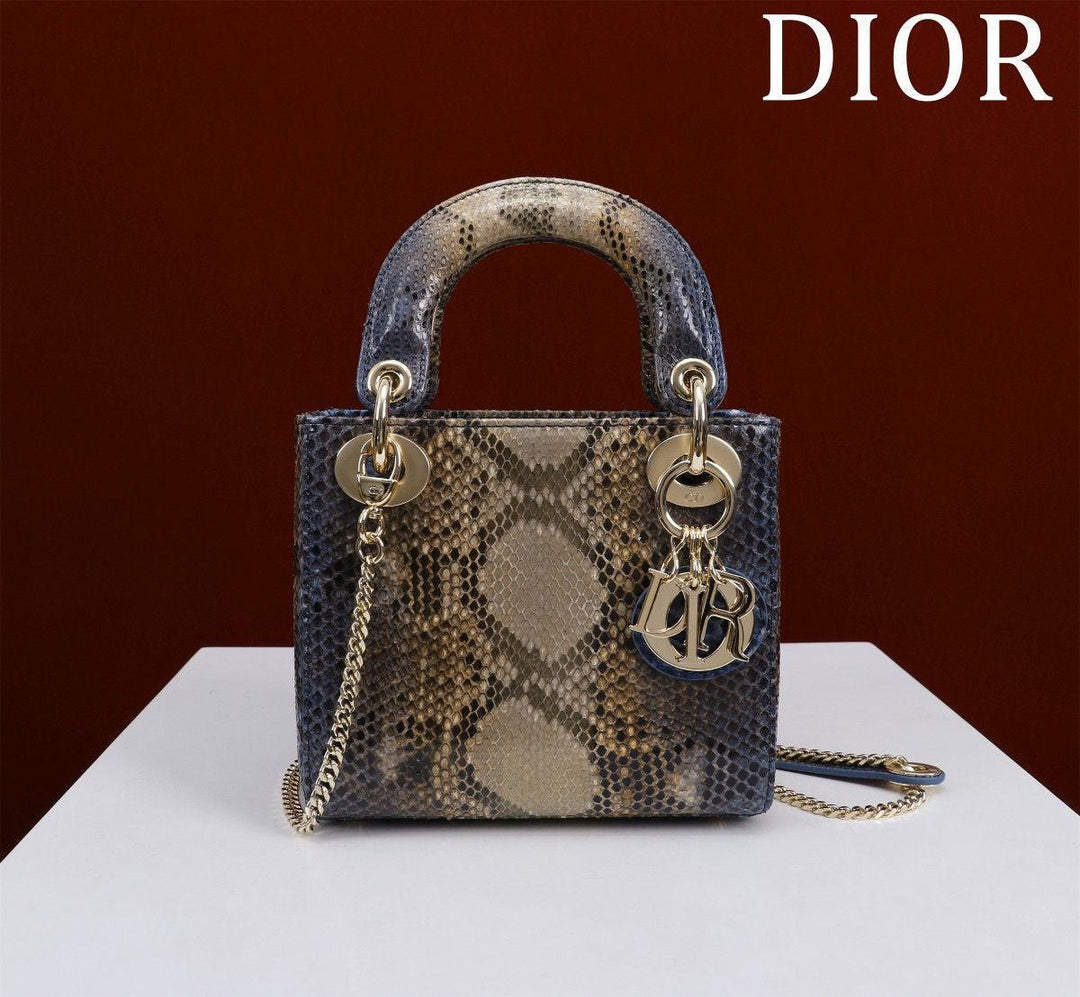 Ladies dior bags Lilly Onlines