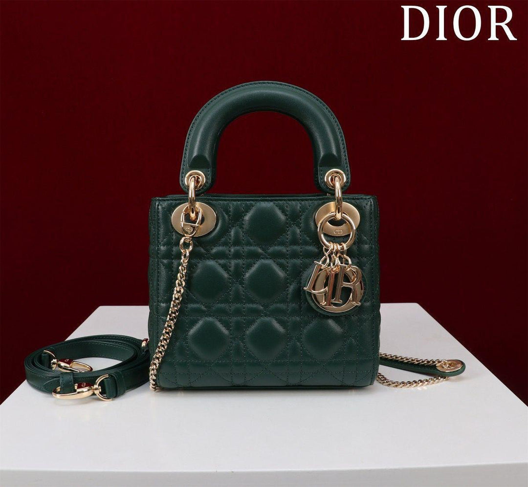 Ladies dior bags Lilly Onlines