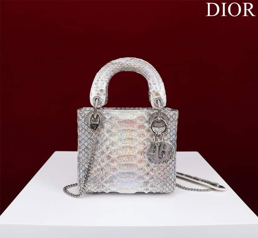 Ladies dior bags Lilly Onlines
