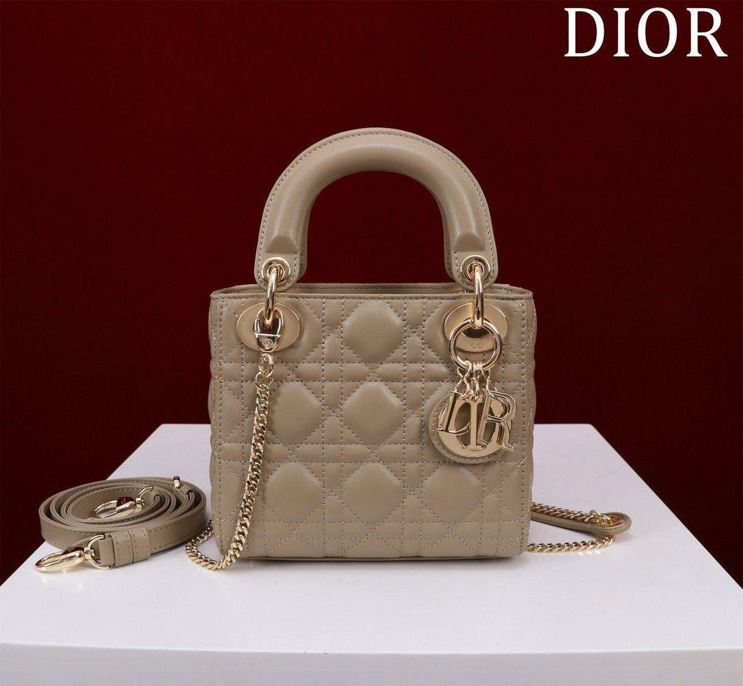 Ladies dior bags Lilly Onlines