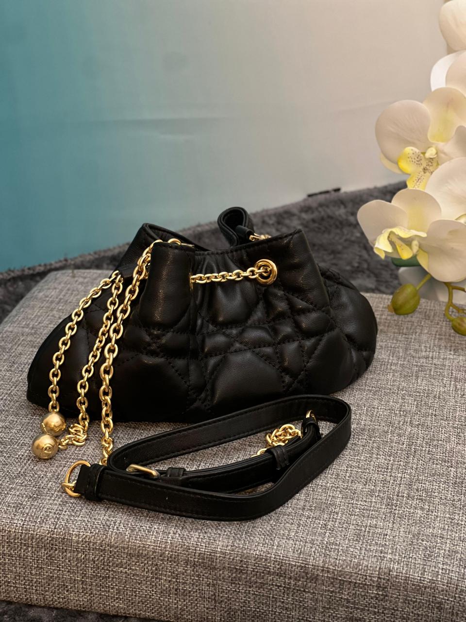 Ladies dior bags Lilly Onlines