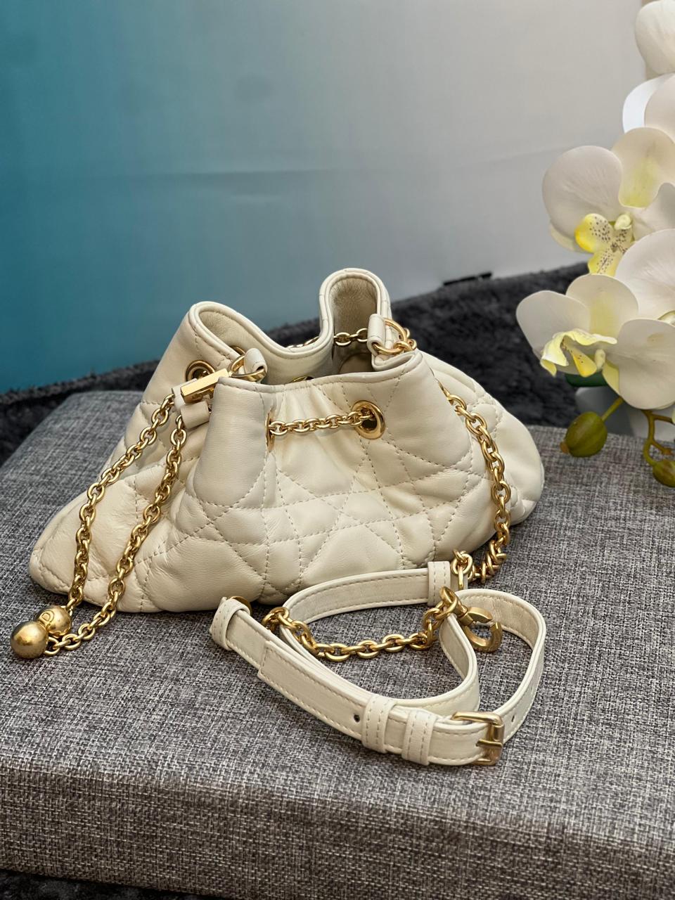 Ladies dior bags Lilly Onlines