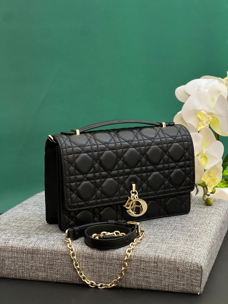Ladies dior bags Lilly Onlines