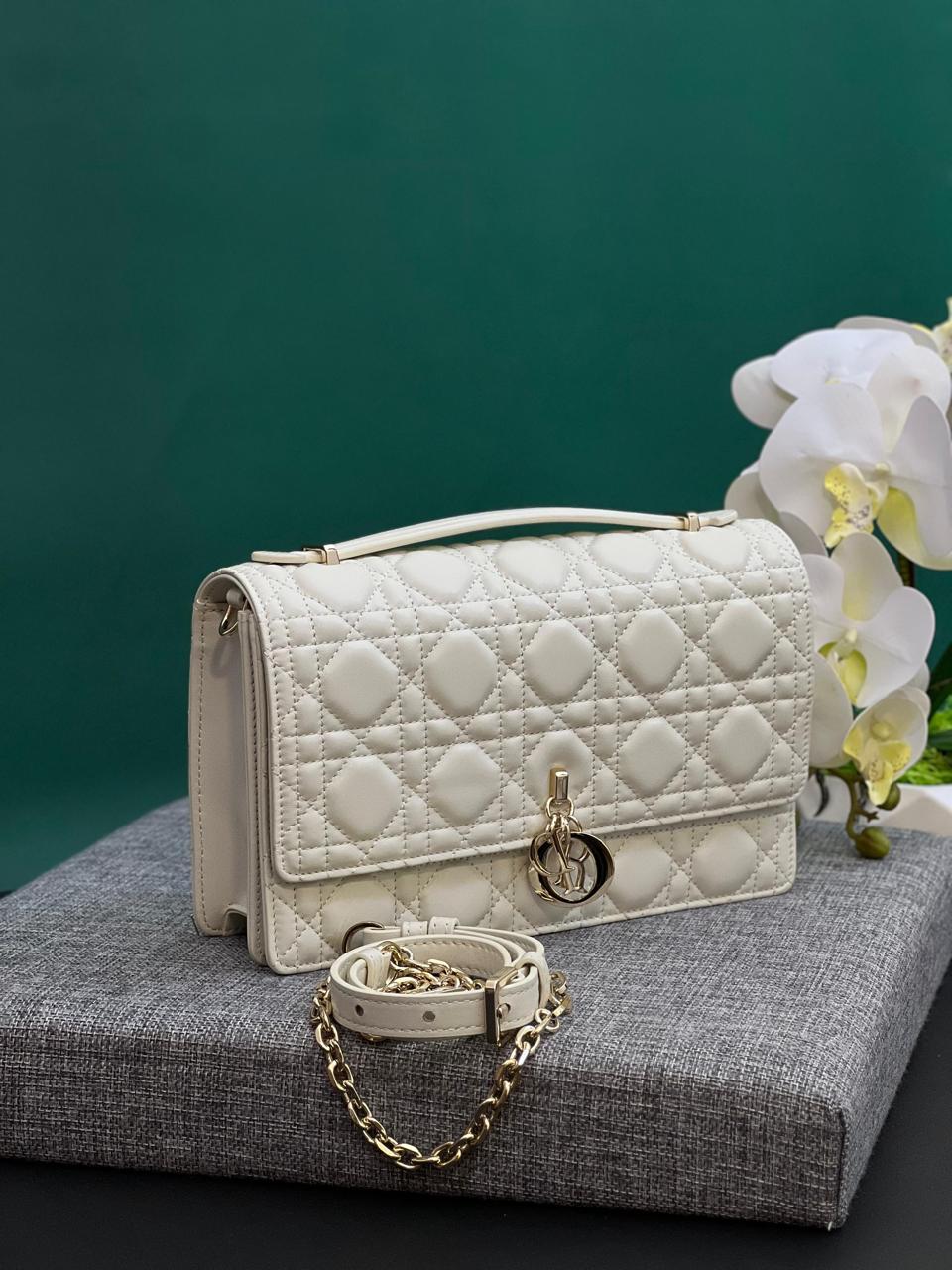 Ladies dior bags Lilly Onlines