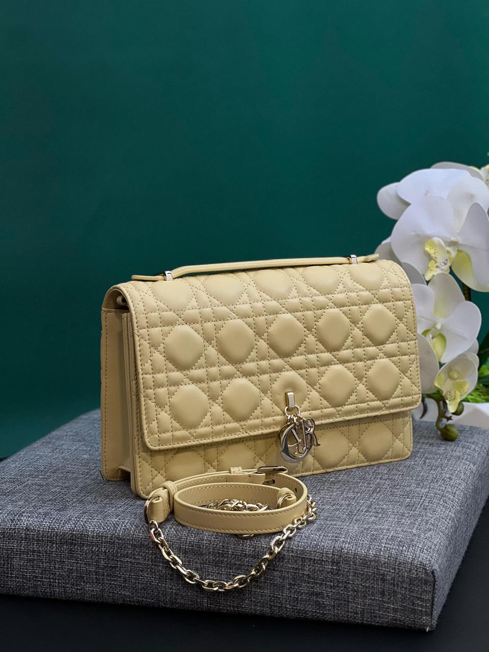 Ladies dior bags Lilly Onlines