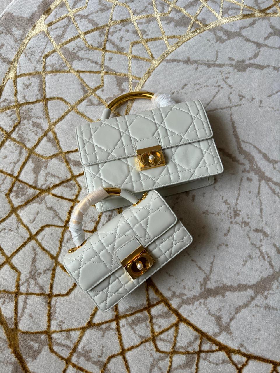 Ladies Dior bags Lilly Onlines