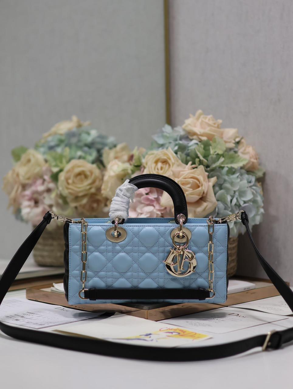 Ladies Dior bags Lilly Onlines