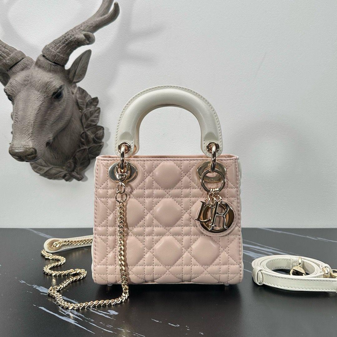 Ladies Dior bags Lilly Onlines