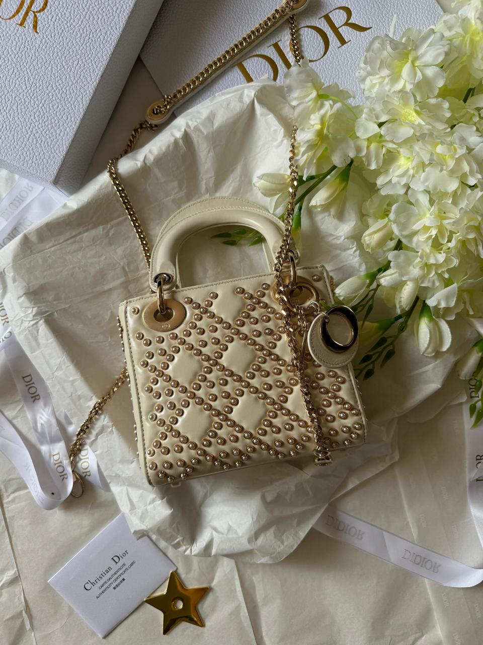 Ladies Dior bags Lilly Onlines