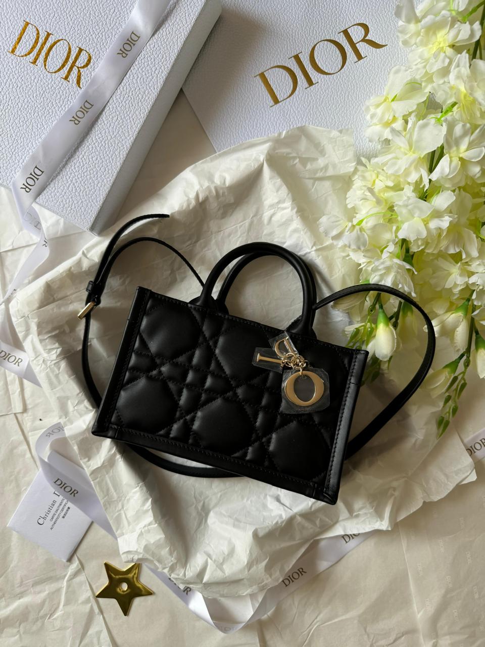 Ladies Dior bags Lilly Onlines