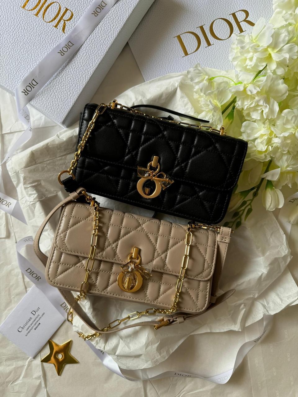 Ladies Dior bags Lilly Onlines
