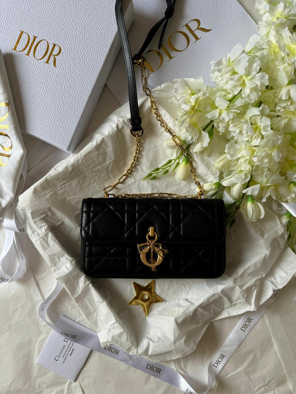Ladies Dior bags Lilly Onlines