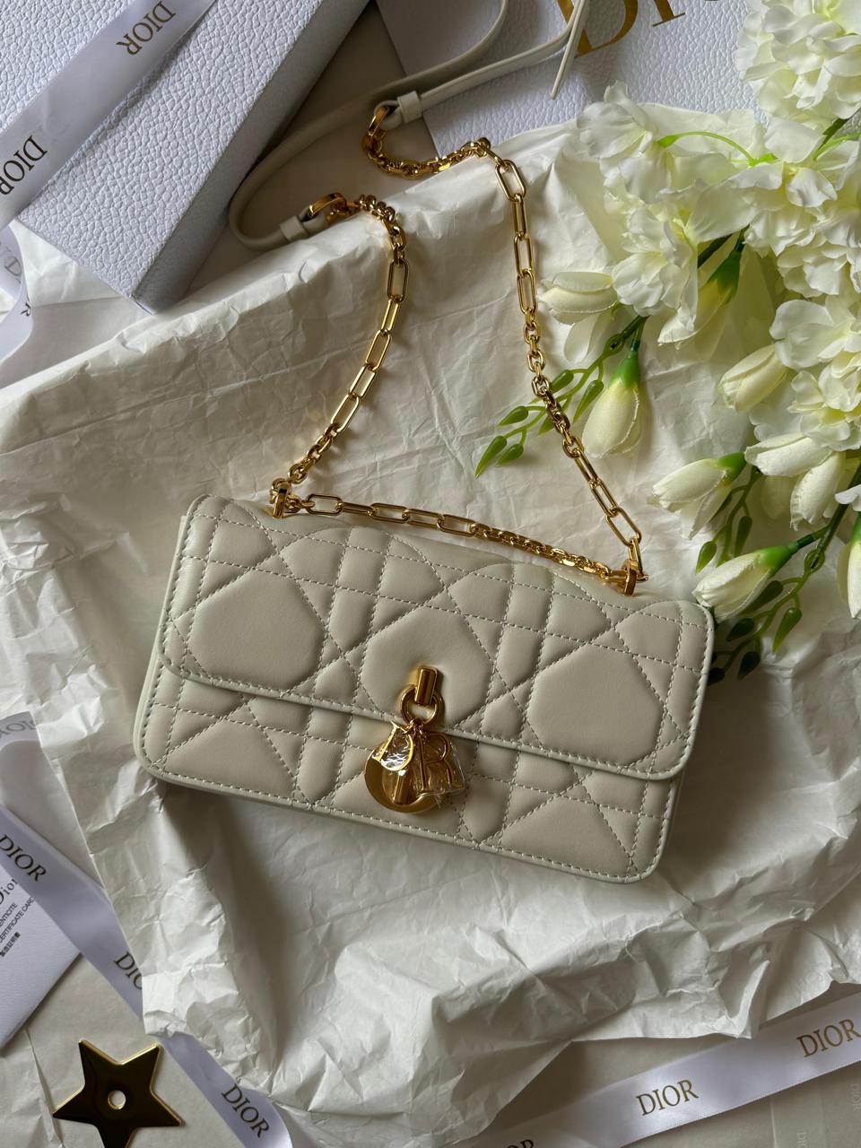 Ladies Dior bags Lilly Onlines