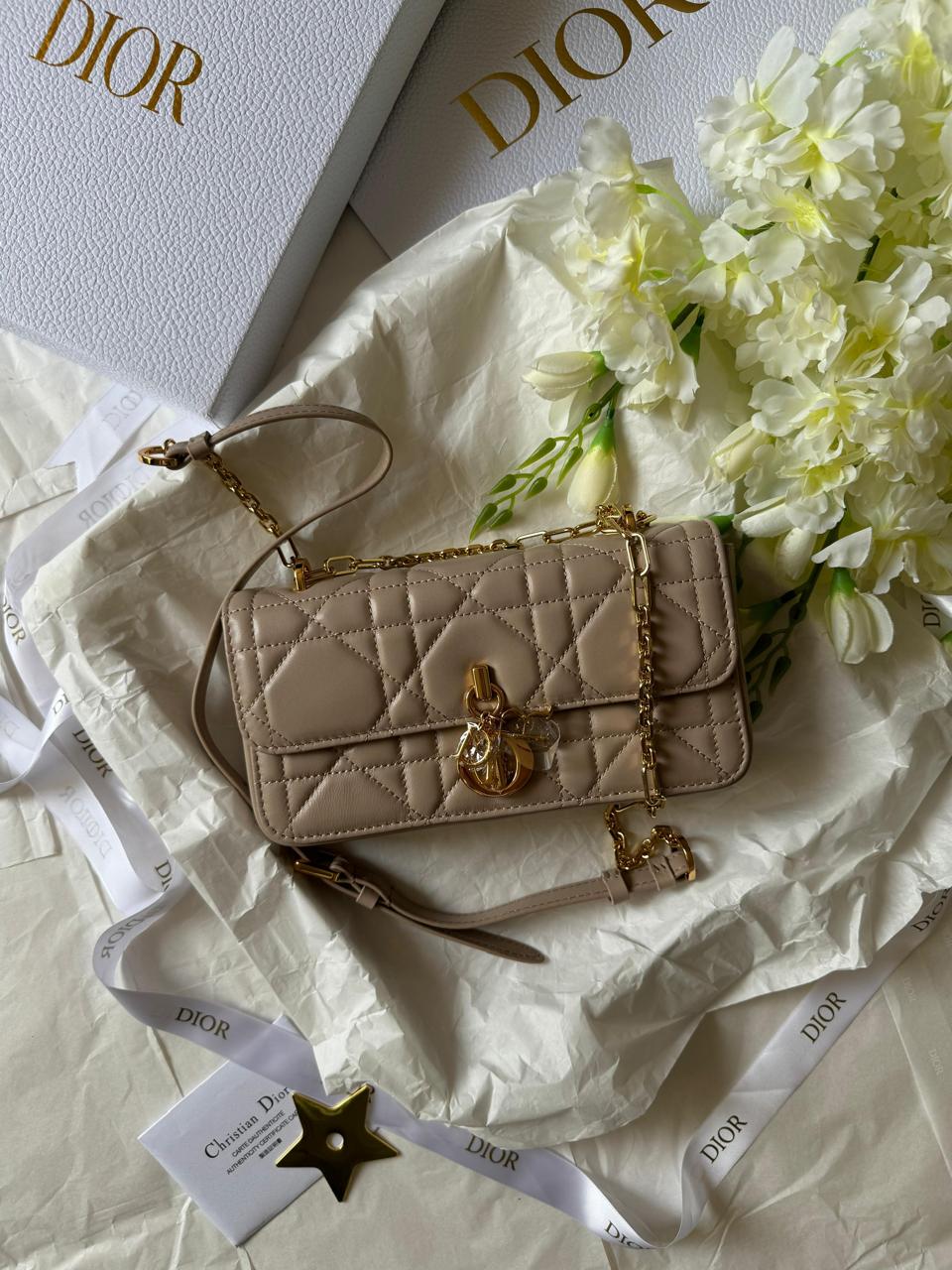 Ladies Dior bags Lilly Onlines
