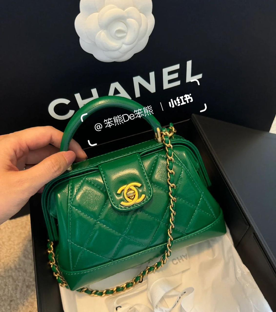 Ladies Chanel bags Lilly Onlines