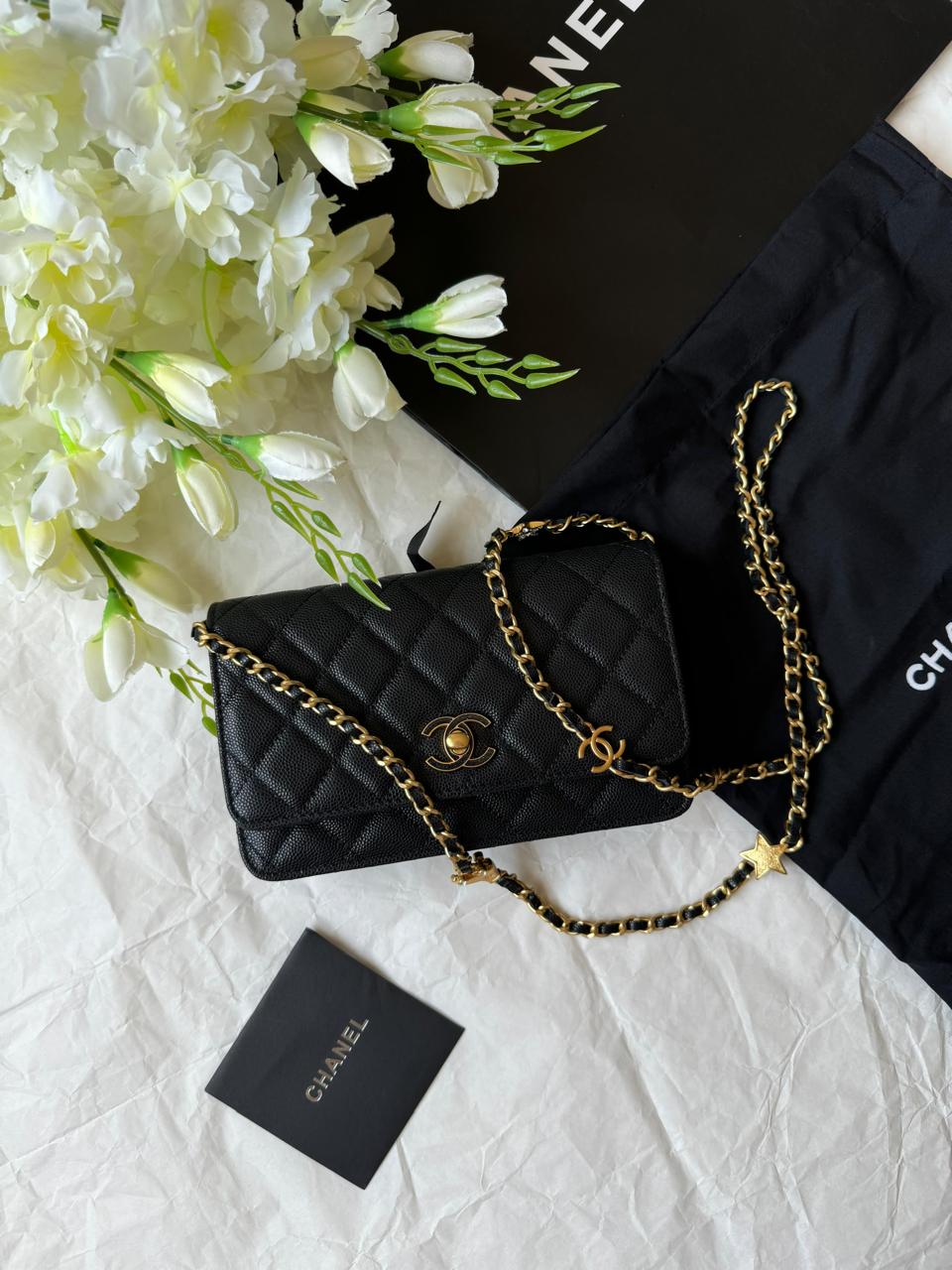 Ladies Chanel bags Lilly Onlines
