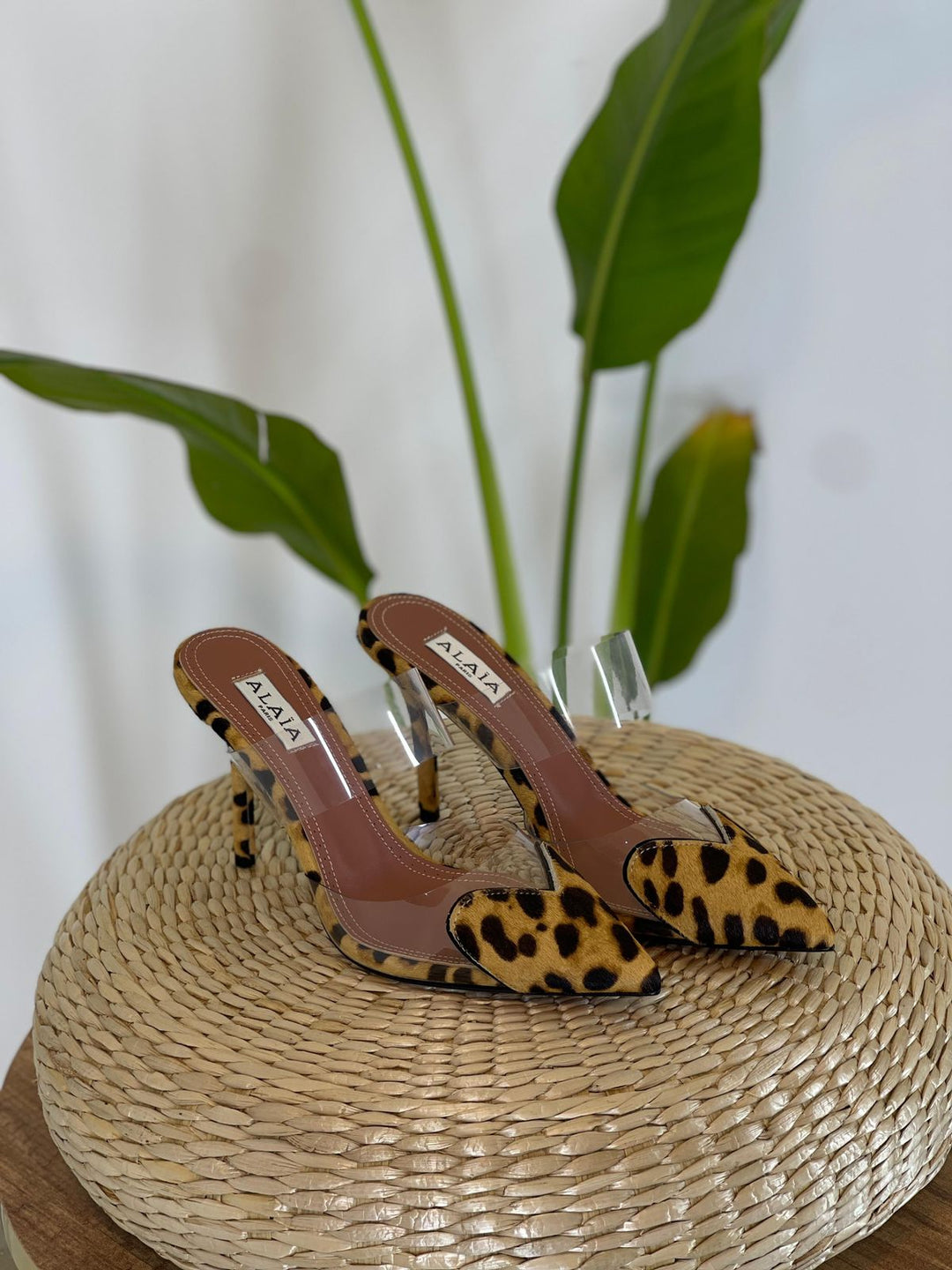 Ladies heels Lilly Onlines