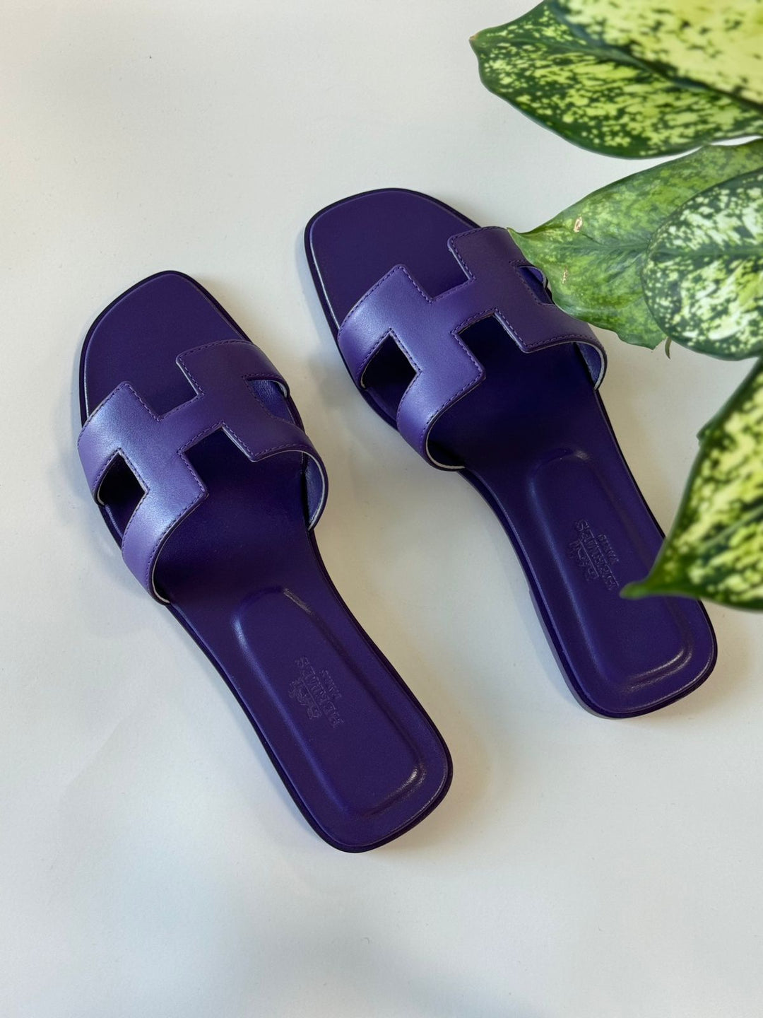 Ladies flats Lilly Onlines