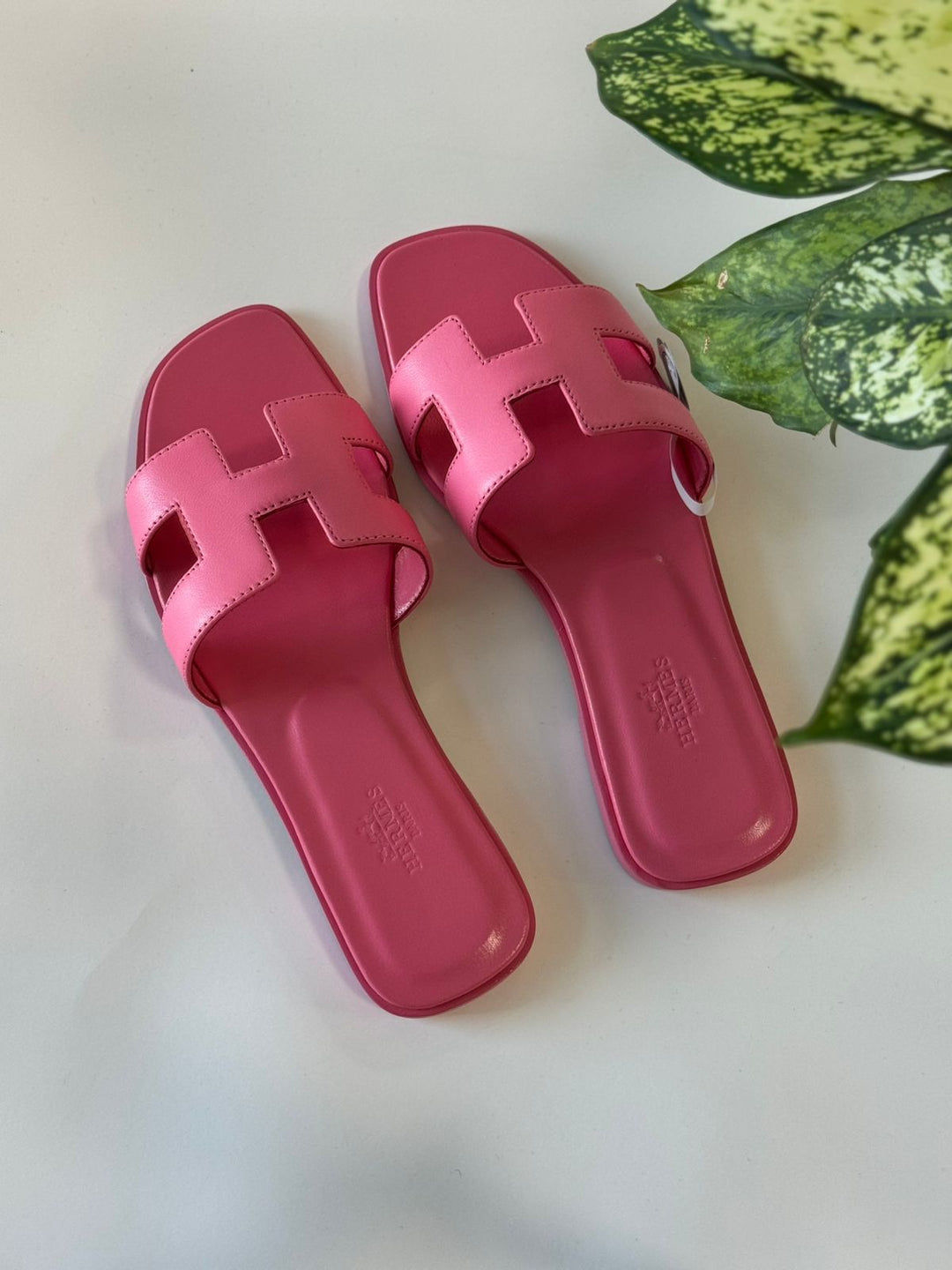 Ladies flats Lilly Onlines