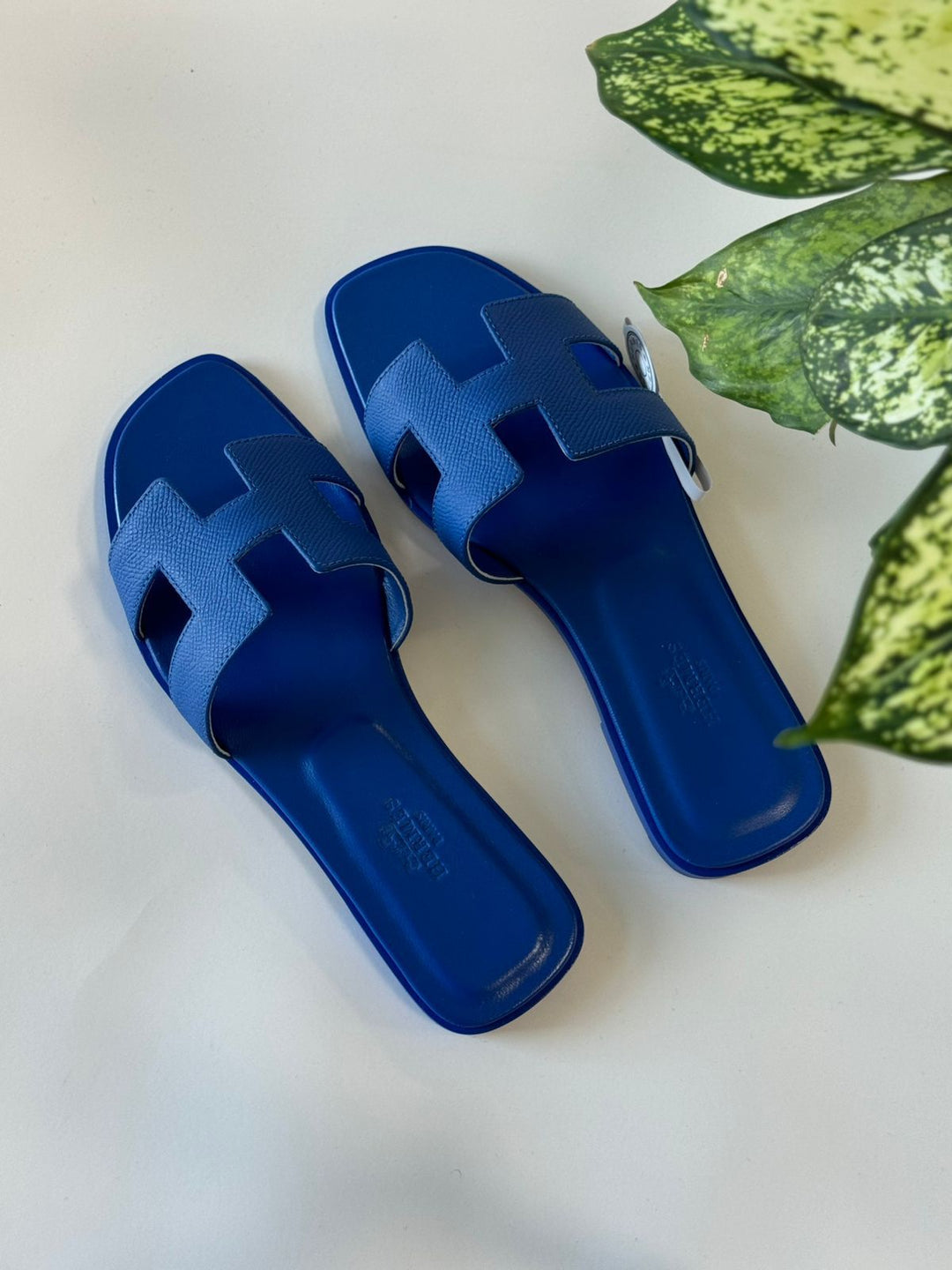 Ladies flats Lilly Onlines
