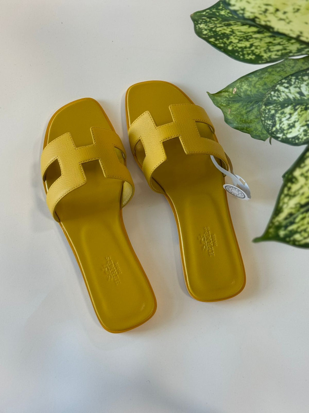 Ladies flats Lilly Onlines