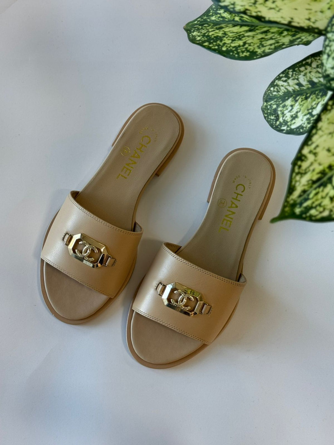 Ladies flats Lilly Onlines