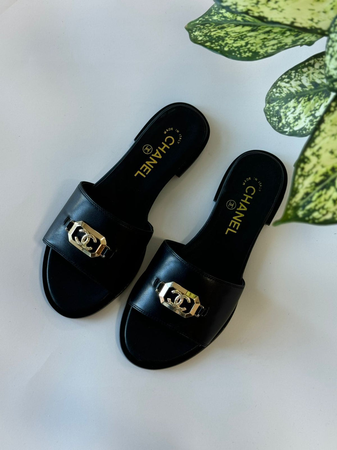 Ladies flats Lilly Onlines