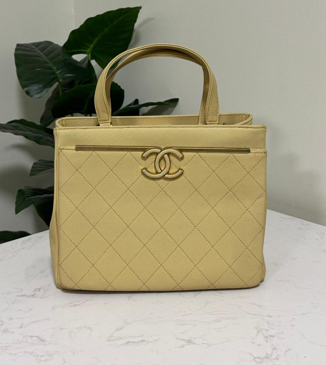 Ladies Chanel bags Lilly Onlines
