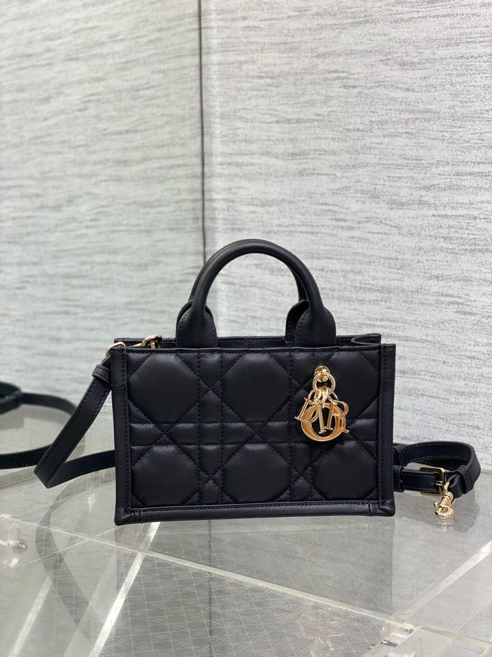 Ladies Dior bags Lilly Onlines