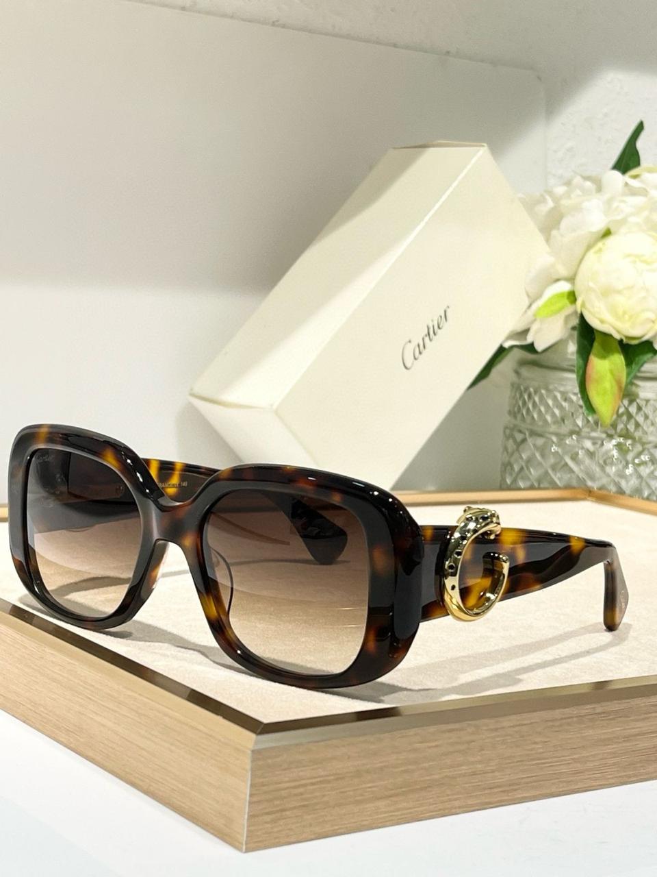 Ladies sunglasses Lilly Onlines