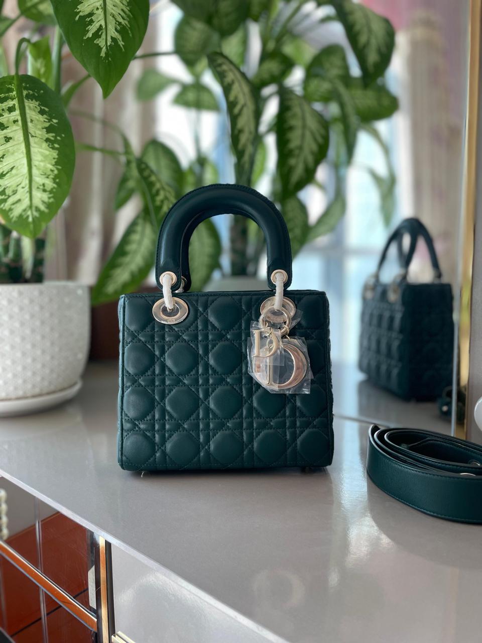 Ladies Dior bags Lilly Onlines