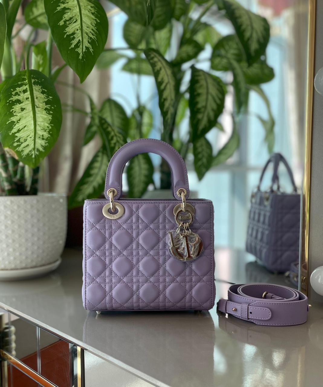 Ladies Dior bags Lilly Onlines