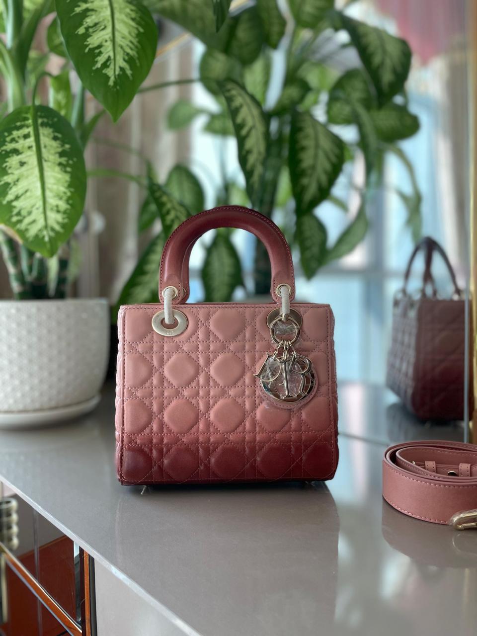 Ladies Dior bags Lilly Onlines